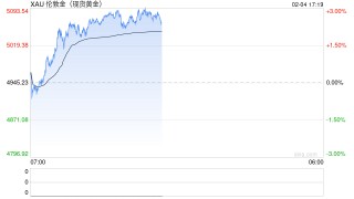 《黄金行业“十五五”发展规划（讨论稿）》专家研讨会在北京召开