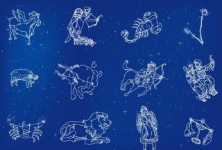 如何准确计算投资比例以优化投资策略？比例计算对投资收益有什么影响？