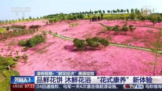 暴涨220%！这一市场，绽放！