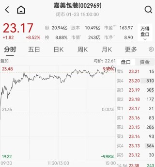 大涨超400%！两大牛股，停牌核查