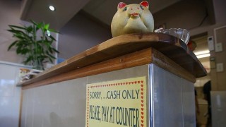 存款利率调整对资金收益影响大吗？