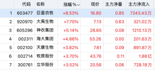 两大板块，强势拉升！