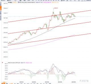 金价回落至3300关口附近，美元反弹与风险情绪升温施压黄金，关注美通胀数据指引新方向