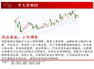 中天期货:商品指数小阴调整 碳酸锂再度起涨