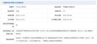 肺癌一线！「伏美替尼」新适应症拟纳入突破性疗法