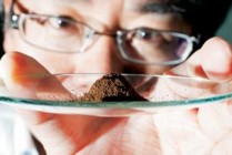 如何实现稀土的有效销售？这种销售方式存在哪些挑战？