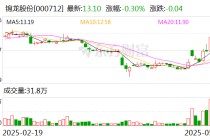 锦龙股份：终止筹划出售中山证券股权的重大资产重组