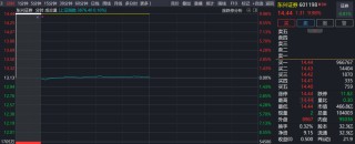 尘埃落定！中金公司复牌大涨