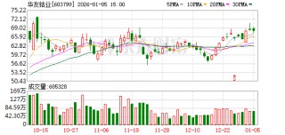 华友钴业：公司将进一步加强国际市场开拓
