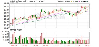 瑞泰科技：公司和下属公司无逾期对外担保的情形