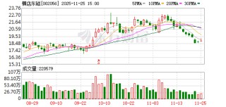 横店东磁：不存在逾期担保