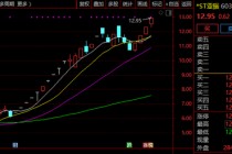突发！603389，停牌核查！