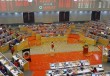 平安在金融交易中扮演何种角色？这种角色对交易策略有何影响？
