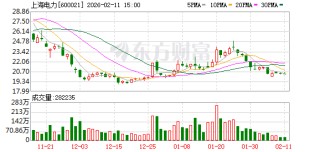 上海电力：上海电力财务共享中心成立于2018年