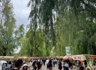 “五一”旅游热度持续攀升！反向旅游趋势明显，小众目的地强势崛起