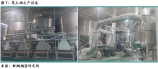 新湖农产（油脂）专题：山东花生产区调研报告