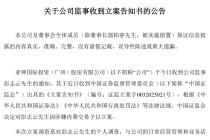 300亿大牛股，突爆大雷！