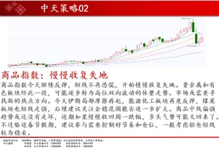 中天期货:焦煤开始走高 棕榈调整