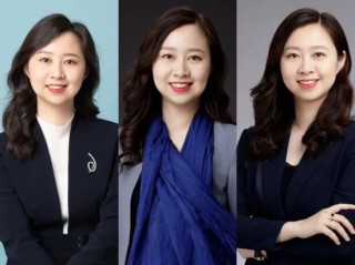 新华基金前董事长翟晨曦被传“进去了”｜债券女王半生传奇（4千字长文）