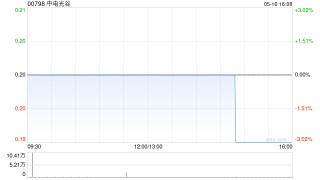 中电光谷建议委任大信为新任核数师