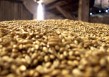 如何理解豆粕期权交易指令？交易指令对豆粕期权交易有何作用？
