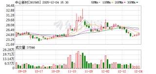 中仑新材：公司及子公司无逾期对外担保情况