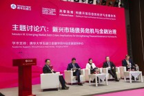 聚焦新兴市场债务危机与金融治理：构建有效合作框架，维护区域和全球金融稳定