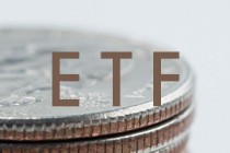 如何分析期权组合的盈利概率？这种分析方法的局限性是什么？