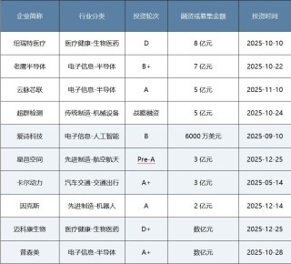 年度盘点｜耐心资本发力硬科技！八大头部国资机构2025年布局揭秘