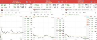 220亿神秘女富豪被查！同一天当地市长落马，前夫曾因操纵股市被判刑