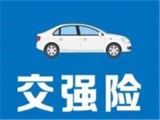 如何在强险领域进行便捷的线上操作？这些操作有哪些具体要求？