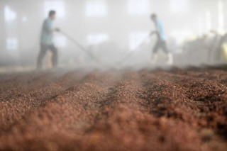 白酒产能结构第二轮调整来了？这次名酒也未必安全