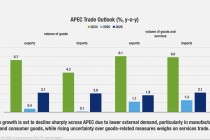 APEC组织警告：受特朗普关税影响 今年亚太贸易增长几乎停滞