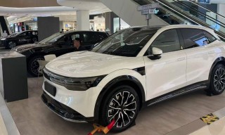 多地暂停汽车以旧换新补贴！审核系统升级中......