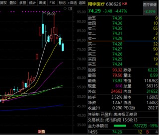 太空光伏+存储芯片+卫星通信，300842，一周暴涨超43%！