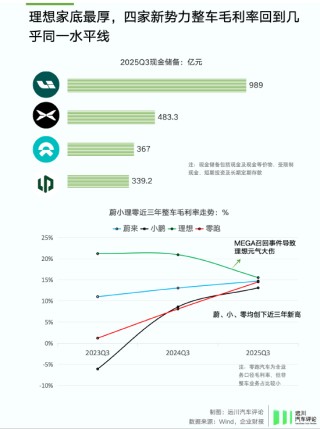 谁偷袭了比亚迪？