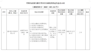 嘉兴银行被罚247.8万元：违反金融统计管理规定等
