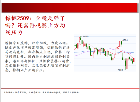 中天期货:橡胶均线之下震荡偏弱 纯碱继续回落  第13张