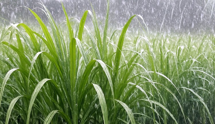广西气象：未来三天广西多降雨，桂北雨势加大，局地大暴雨  第3张
