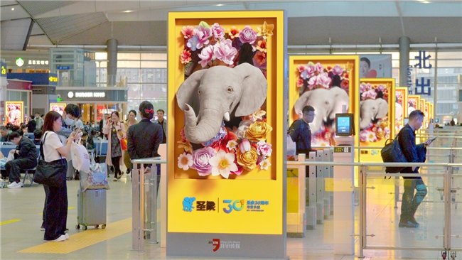 圣象全新裸眼3D大片上线，品牌数字化传播再升级  第2张