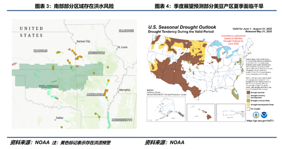 【豆系观察】等待驱动进一步明朗  第5张
