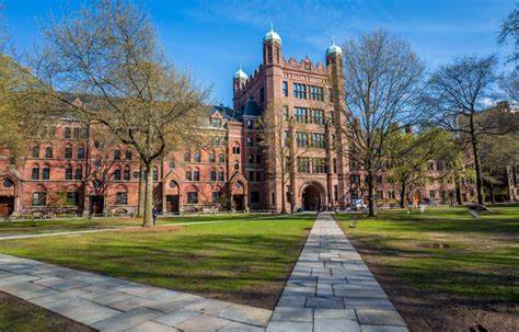 耶鲁折价抛售25亿美元私募股权套现 捐赠者陷入恐慌  第1张