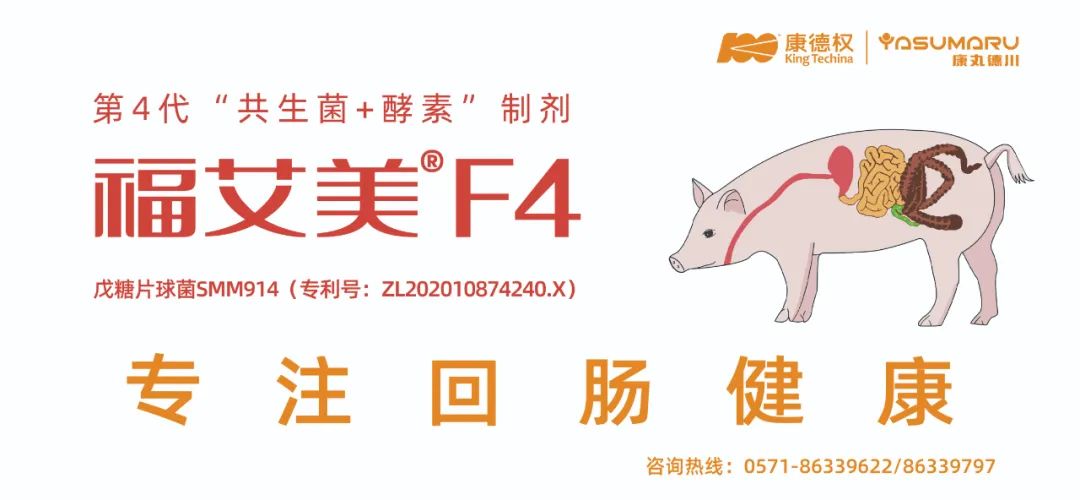 禾丰股份完成13家企业收购，完善白羽肉鸡业务整体布局！丨总投资超12亿元，立华在广西共建屠宰加工项目  第2张