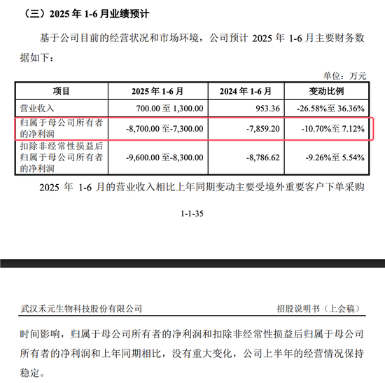 武汉禾元科创板IPO：亏损公司融资再启动！募资从35亿减为24亿！IPO说明书的预期大概率达不到！  第11张