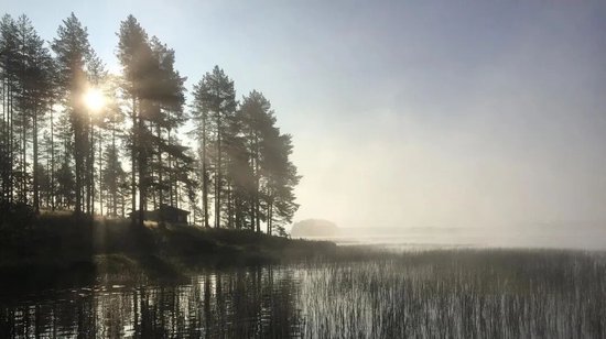 对决地下高炮，撸贷大军上演“黑吃黑”  第3张