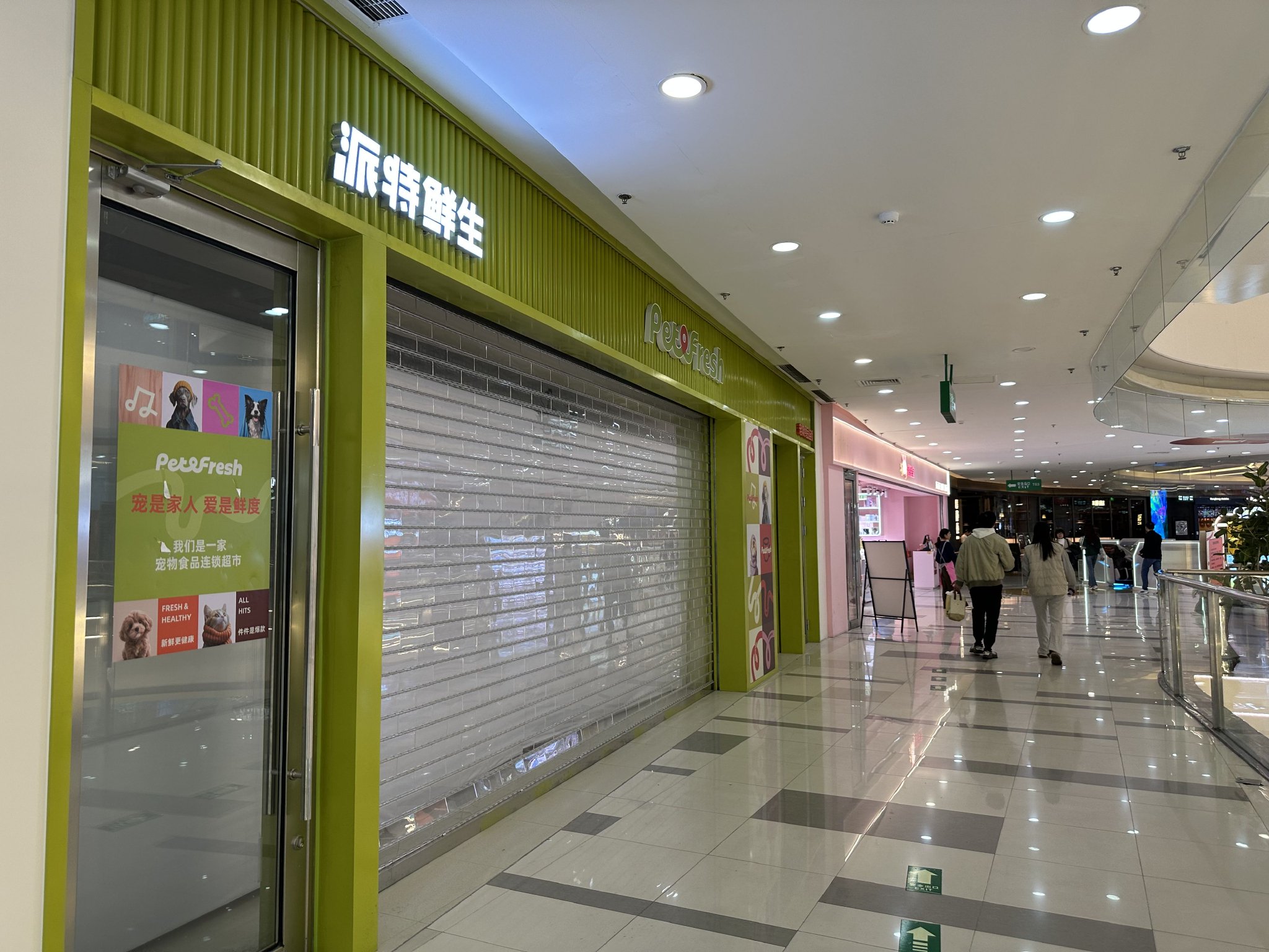 盒马创始人今年2月创立的“派特鲜生”，12月中旬将全部关闭  第1张