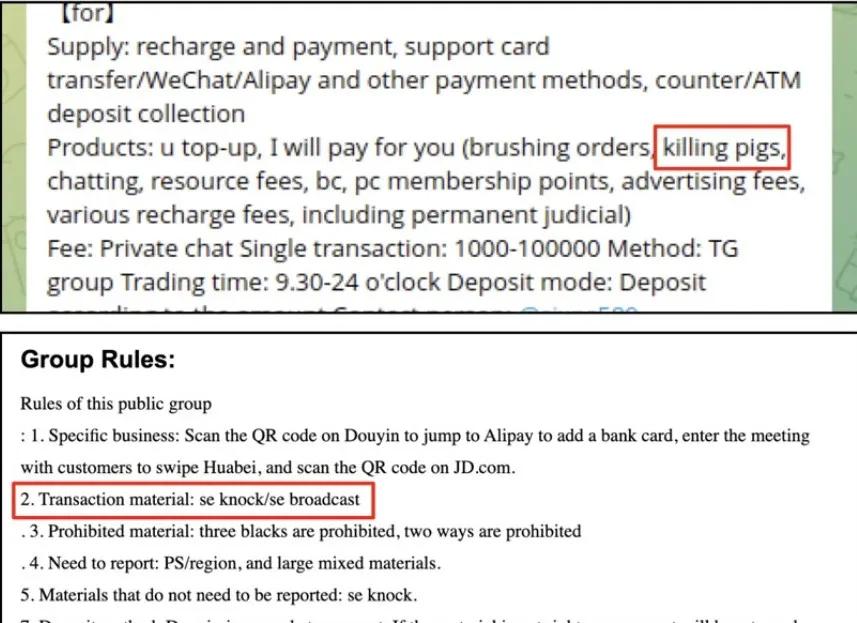 多国制裁引发挤兑危机，太子集团高管起底“电诈帝国”黑化史  第4张