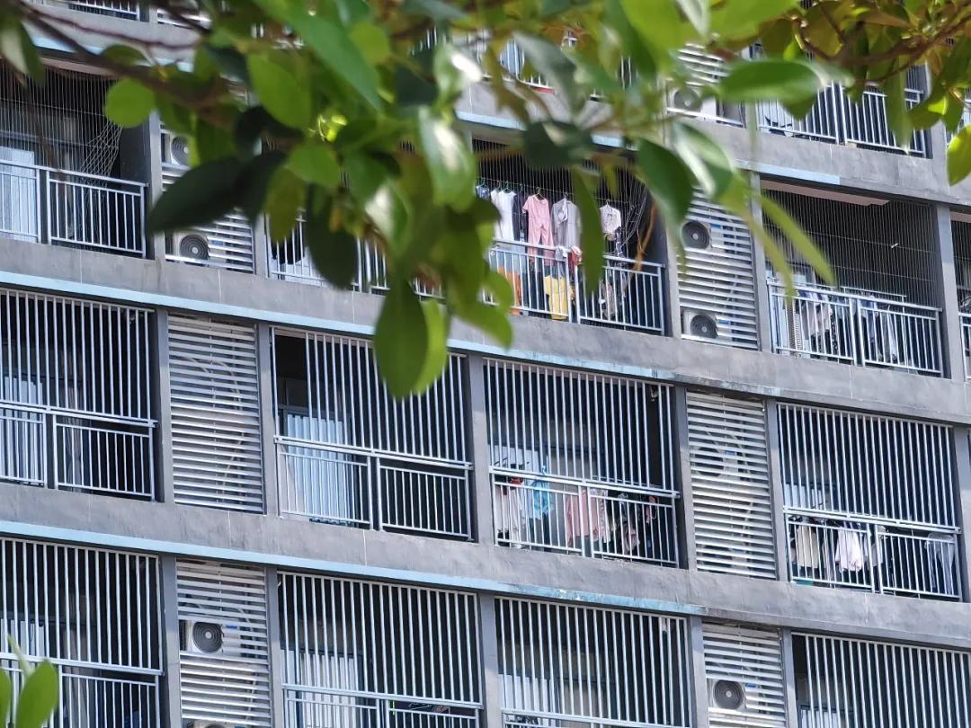 多国制裁引发挤兑危机，太子集团高管起底“电诈帝国”黑化史  第17张