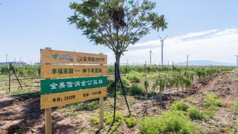 再添5000棵“金杞”！金美信消费金融“种下希望树”第三期圆满收官，三年筑起25000株西部生态屏障  第2张