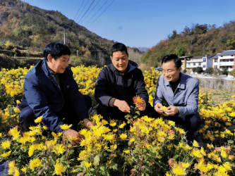 奋楫扬帆“十四五” 金融报国谱新篇――2025年中国人寿保险股份有限公司高质量发展回望  第2张